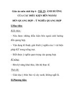 Giáo án môn sinh lớp 6 - Tiết 25: ẢNH HƯỞNG CỦA CÁC ĐIỀU KIỆN BÊN NGOÀI ĐẾN QUANG HỢP – Ý NGHĨA QUANG HỢP doc