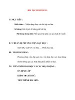 Giáo án Sinh Học lớp 12: BÀI TẬP CHƯƠNG II ppt