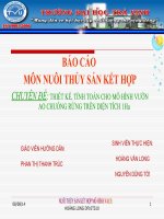 bao cao mo hinh VACR hoanghuulong ppt