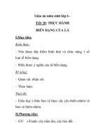 Giáo án môn sinh lớp 6 Tiết 28: THỰC HÀNH BIẾN DẠNG CỦA LÁ pptx