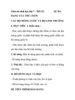 Giáo án sinh học lớp 7 - Tiết 52: DẠNG CỦA THÚ (TIẾP) pptx