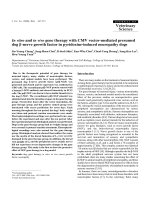 Báo cáo khoa học: 