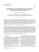 Báo cáo lâm nghiệp: 