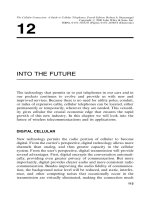 The Cellular Connection 2 phần 3 ppsx