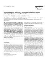 Báo cáo khoa học: 