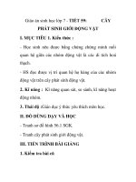 Giáo án sinh học lớp 7 - TIẾT 59: PHÁT SINH GIỚI ĐỘNG VẬT pps