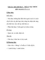 Giáo án môn sinh lớp 6 - Tiết 21: ĐẶC ĐIỂM BÊN NGOÀI CỦA LÁ potx