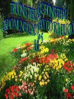 GIÁO ÁN LỚP 5 Luyện từ và câu pps