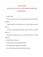 Giáo án Sinh Học lớp 10: THỰC HÀNH: QUAN SÁT CÁC K Ỳ CỦA NGUYÊN PHÂN TRÊN TIÊU BẢN RỄ HÀNH pdf