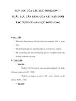 HỢP LỰC CỦA CÁC LỰC SONG SONG – NGẪU LỰC CÂN BẰNG CỦA VẬT RẮN DƯỚI TÁC DỤNG CỦA BA LỰC SONG SONG pot