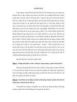 Đánh giá khả năng áp dụng lý thuyết gia tốc đầu tư tại Việt Nam