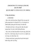 ẢNH HƯỞNG CỦA NGOẠI CẢNH TỚI QUANG HỢP QUANG HỢP VÀ NĂNG SUẤT CÂY TRỒNG doc