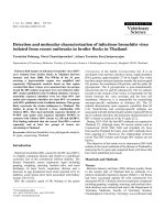 Báo cáo khoa học: 