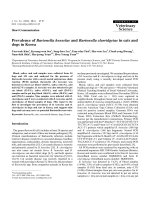 Báo cáo khoa học: 