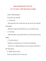 Giáo án Địa Lý lớp 10: MỘT SỐ HÌNH THỨC CHỦ YẾU CỦA TỔ CHỨC LÃNH THỔ CÔNG NGHIỆP ppt