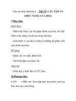 Giáo án môn sinh lớp 6 - Tiết 32: CẤU TẠO VÀ CHỨC NĂNG CỦA HOA pdf