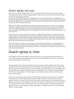 Doanh nghiệp nhà nước và tư nhân ppsx