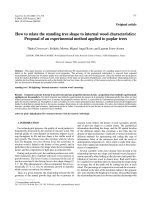 Báo cáo lâm nghiệp: