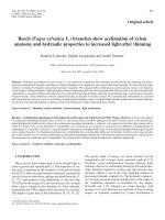 Báo cáo khoa học: 