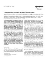 Báo cáo khoa học: 