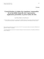 Báo cáo khoa học: 