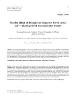 Báo cáo khao học: 