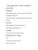 Giáo án sinh học lớp 7 - Tiết 23: TÔM SÔNG potx