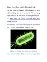 Khuẩn E.coli được mã hóa thông tin bí mật ppt