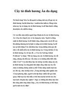 Cây tử đinh hương Ấn đa dụng ppsx