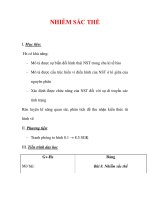 Giáo án Sinh học lớp 9 : Tên bài dạy : NHIỄM SẮC THỂ ppsx