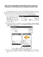 Giáo trình hướng dẫn kỹ thuật điều chỉnh movies khi tương tác với kỹ thuật zoom trong Macromedia Flash phần 1 pps