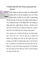 Vi khuẩn nhận biết môi trường xung quanh như thế nào? ppsx