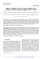 Báo cáo lâm nghiệp: 