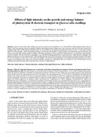 Báo cáo lâm nghiệp: 