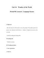 Unit 14: Wonders of the World. Period 90: Lesson 6: Language focuses potx