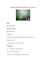 Sáng kiến kinh nghiệm môn mỹ thuật lớp 2 – bài vẽ bài lá cây pptx