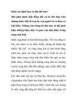 Kiến xác định bạn và thù thế nào? ppt