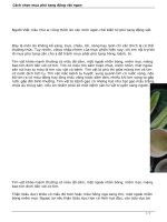 Cách chọn mua phủ tạng động vật ngon docx