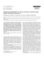 Báo cáo khoa học: 