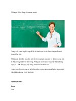 Những từ thông dụng - Common words pps