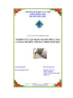 Nghiên cứu tận dụng nguồn mỡ cá tra, cá basa để điều chế dầu nhờn sinh học