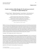 Báo cáo khoa học: 