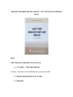 Sáng kiến kinh nghiệm luật dân sự đại học – bài 3 chủ thể quan hệ pháp luật dân sự ppsx