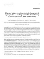 Báo cáo khoa học: 