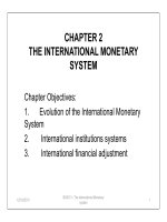 The internetional monetary system docx