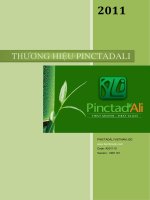 XÂY DỰNG THƯƠNG HIỆU PINCTADALI pptx