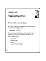 THE BALANCE SHEET POCKET BOOK phần 7 ppt