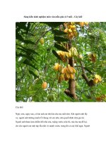 Sáng kiến kinh nghiệm môn văn mẫu giáo 4-5 tuổi – Cây khếkhế Cây khế Ngày xửa, ppsx