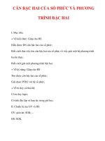 Giáo án Giải tích 12 ban tự nhiên : Tên bài dạy : CĂN BẬC HAI CỦA SỐ PHỨC VÀ PHƯƠNG TRÌNH BẬC HAI potx