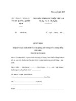 Mẫu quyết định số 04: Quyết định khám nơi cất giấu tang vật, phương tiện vi phạm hành chính potx